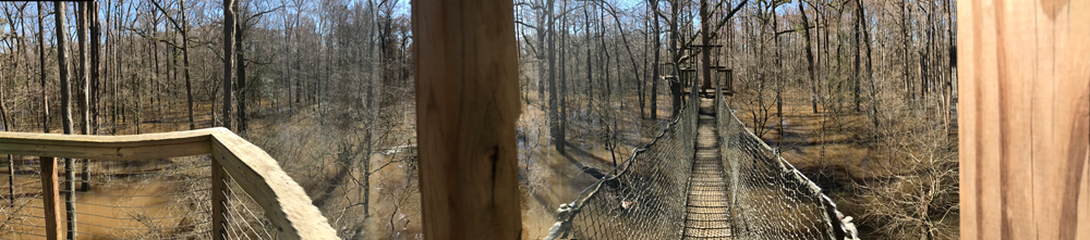 tree-top canopy wal panorama